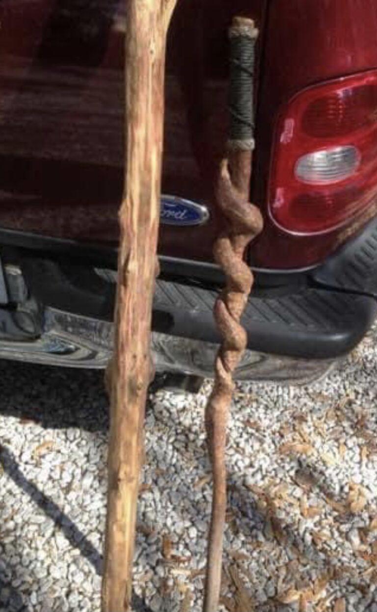 Sunny Hills man hopes to be reunited with antique walking stick