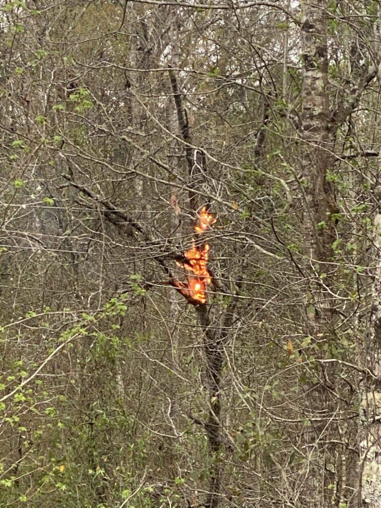 Blustery weather causes wildfires, internet outages
