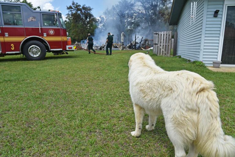 Family dog alerts owner in Westville barn fire