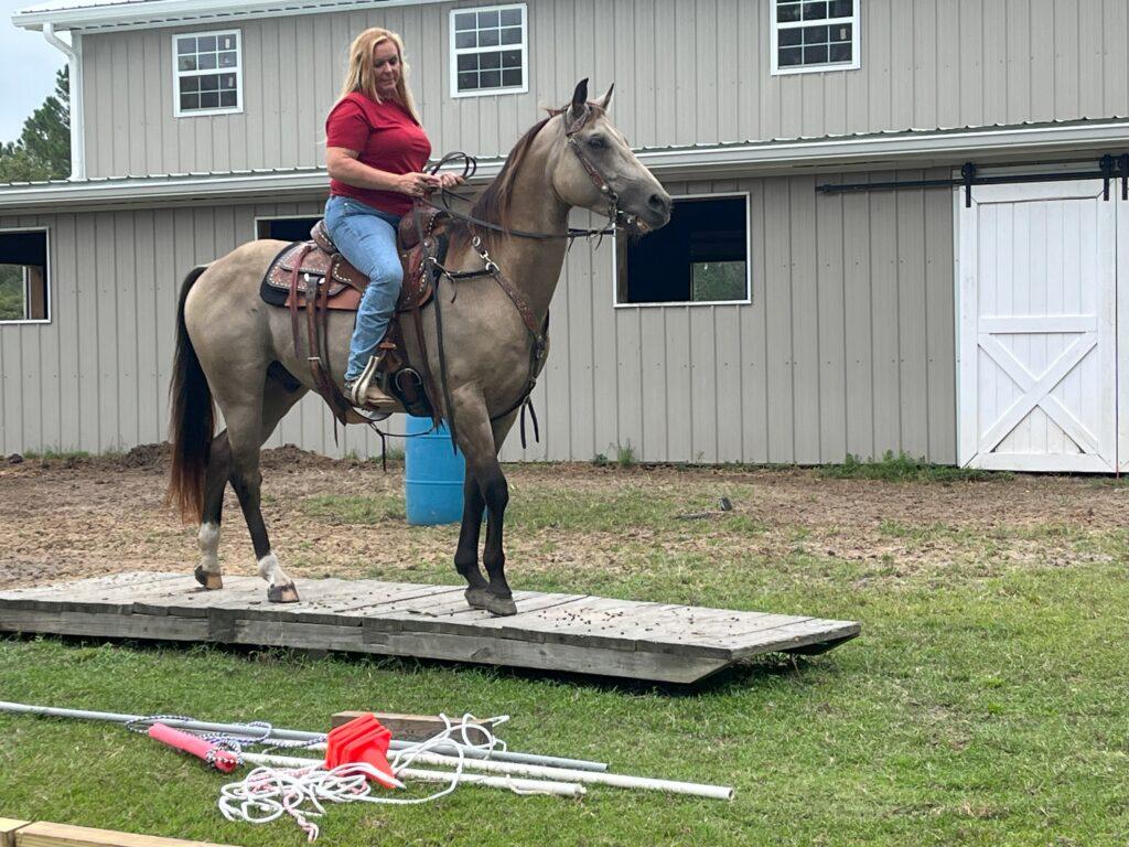 A woman riding on the back of a horse.