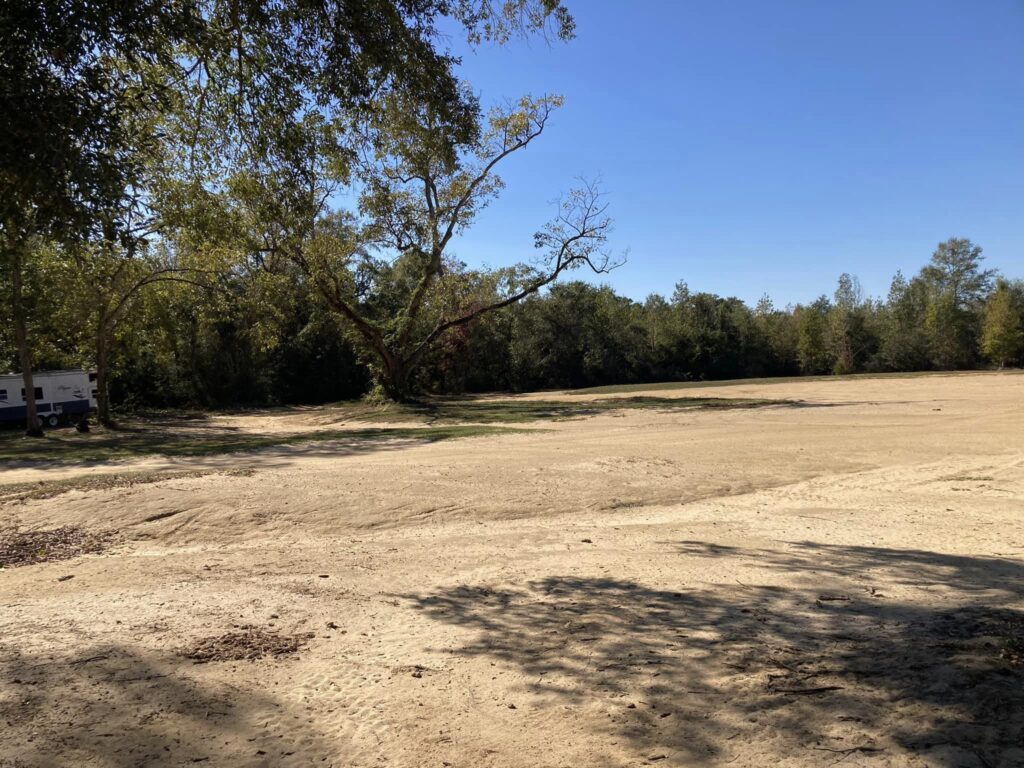 A sandy area with trees and bushes in the background.