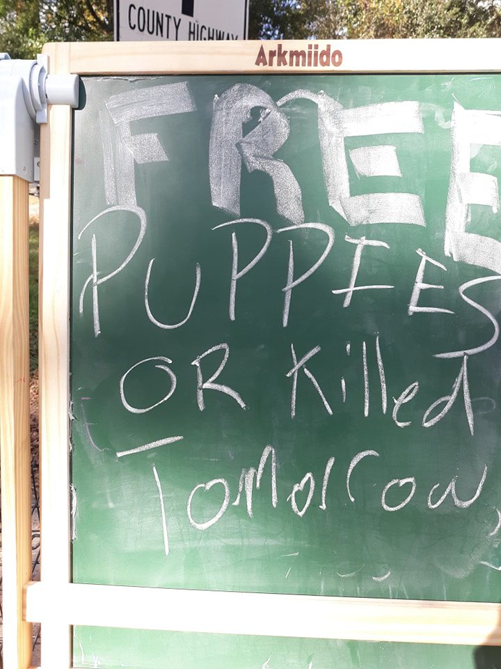 A sign that says free puppies or killed tomorrow.